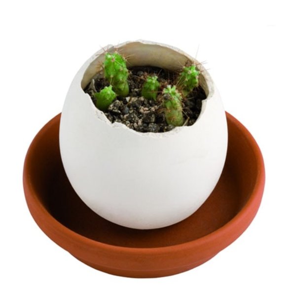 Anthropologie | NWT Eggling Grow Kits, Set of 3 - Picture 4 of 14